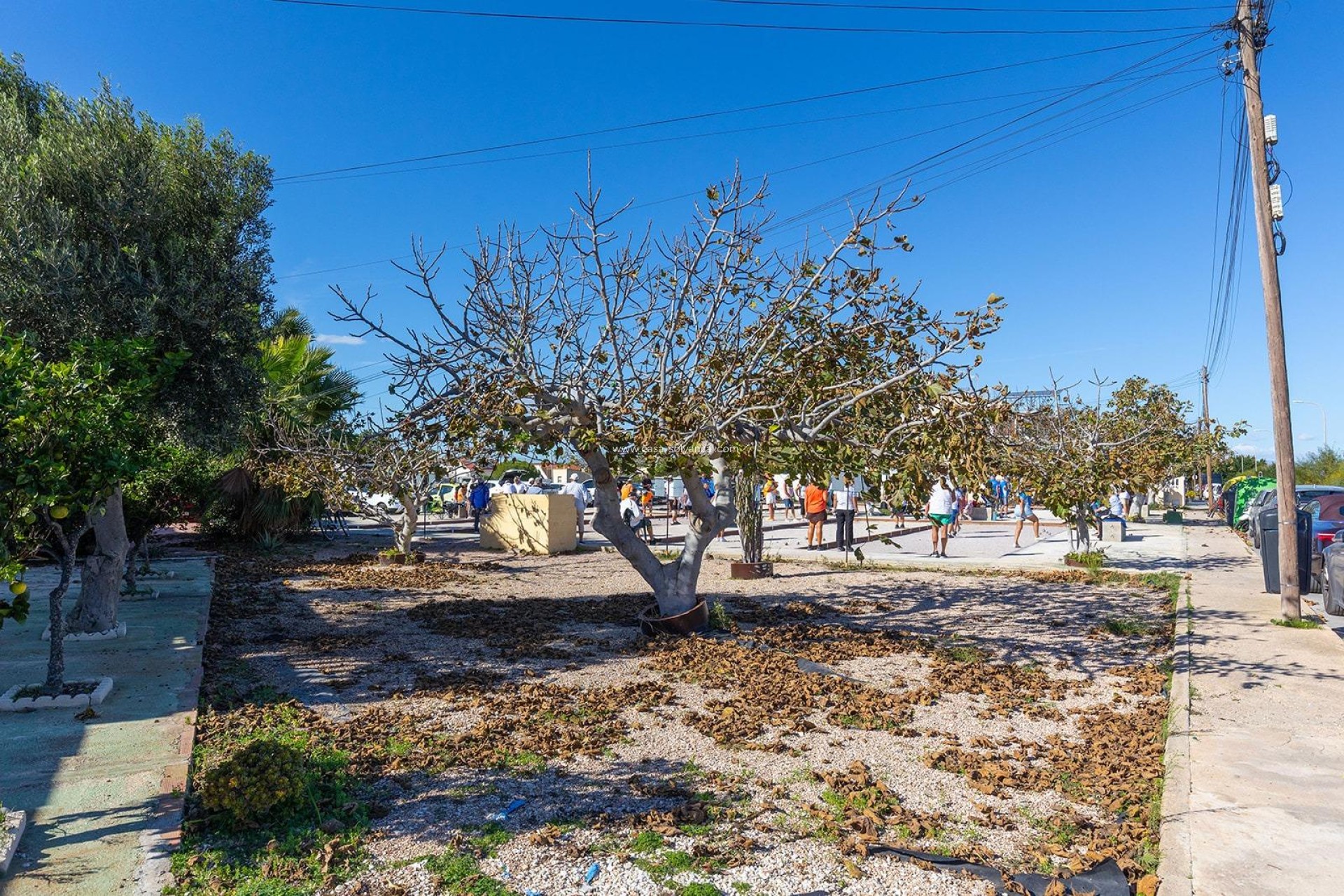 Reventa - Bungalow - Torrevieja - Costa Blanca