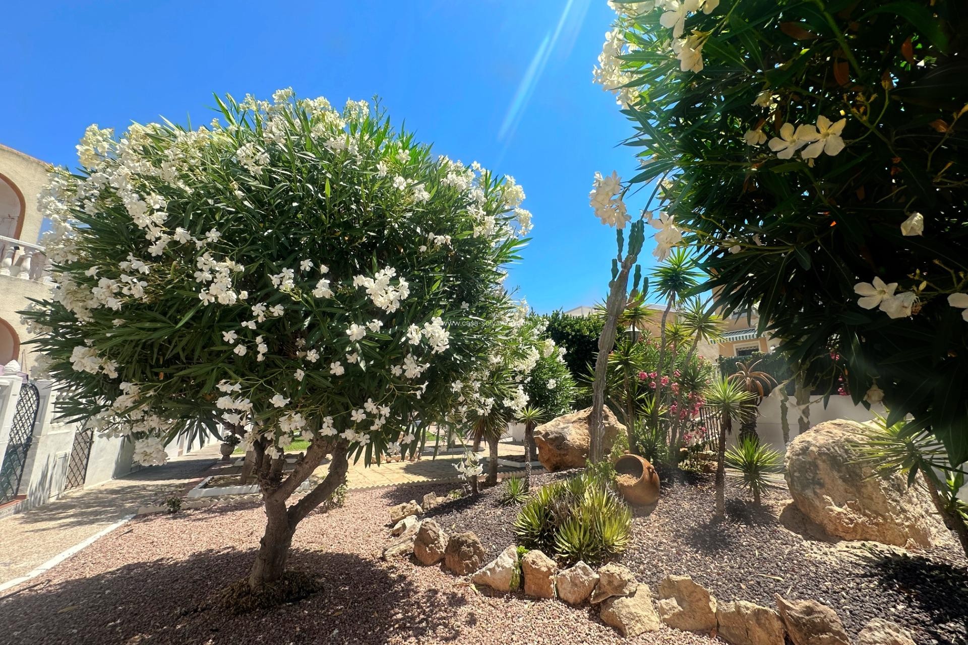 Reventa - Bungalow - Torrevieja - La Mata