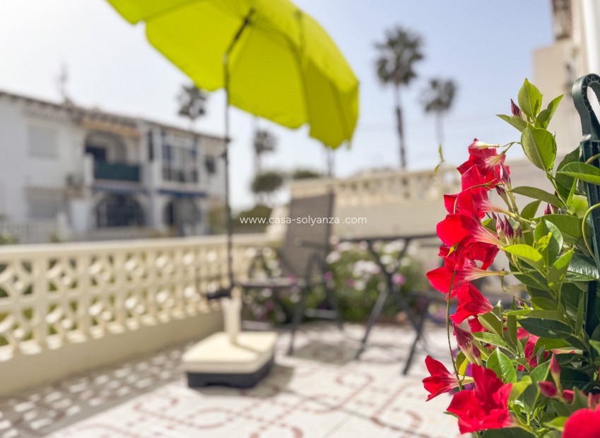 Reventa - Bungalow - Torrevieja - Lago jardin