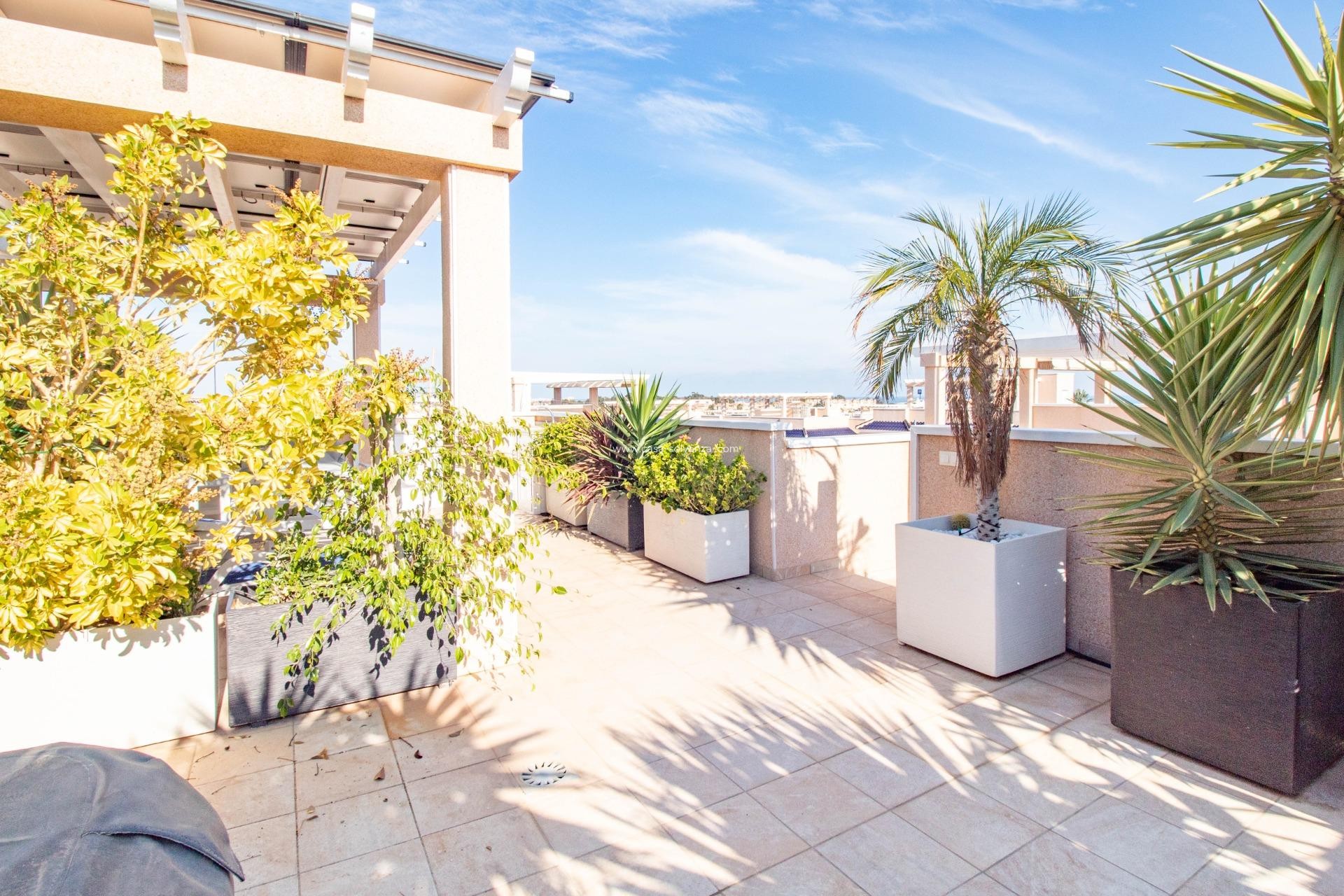 Reventa - Bungalow - Torrevieja - Punta Prima