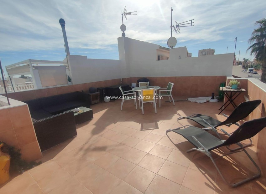 Reventa - Bungalow - Torrevieja - Rosaleda-los Frutales
