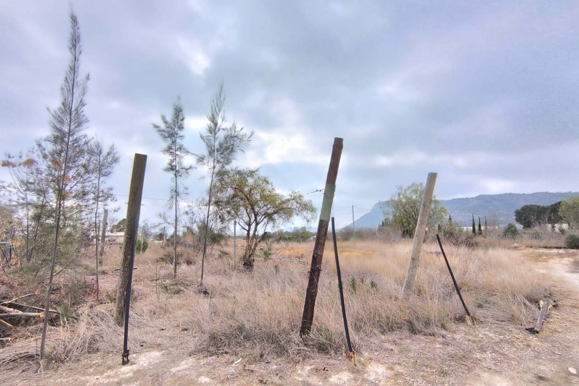 Reventa - Comercial - Aspe - Inland