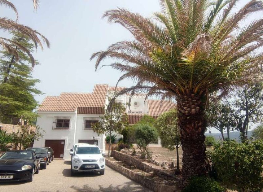 Reventa - Comercial - Ayora - Inland