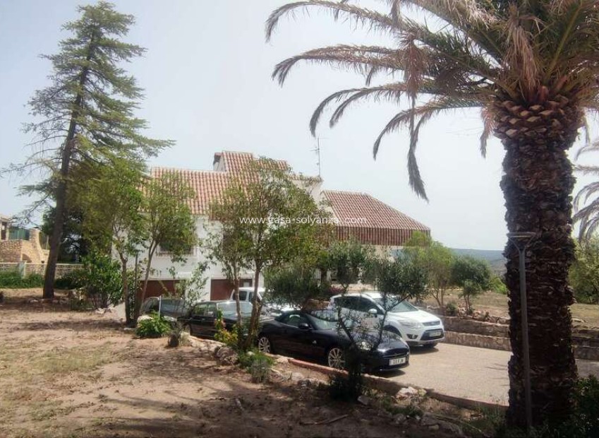 Reventa - Comercial - Ayora - Inland
