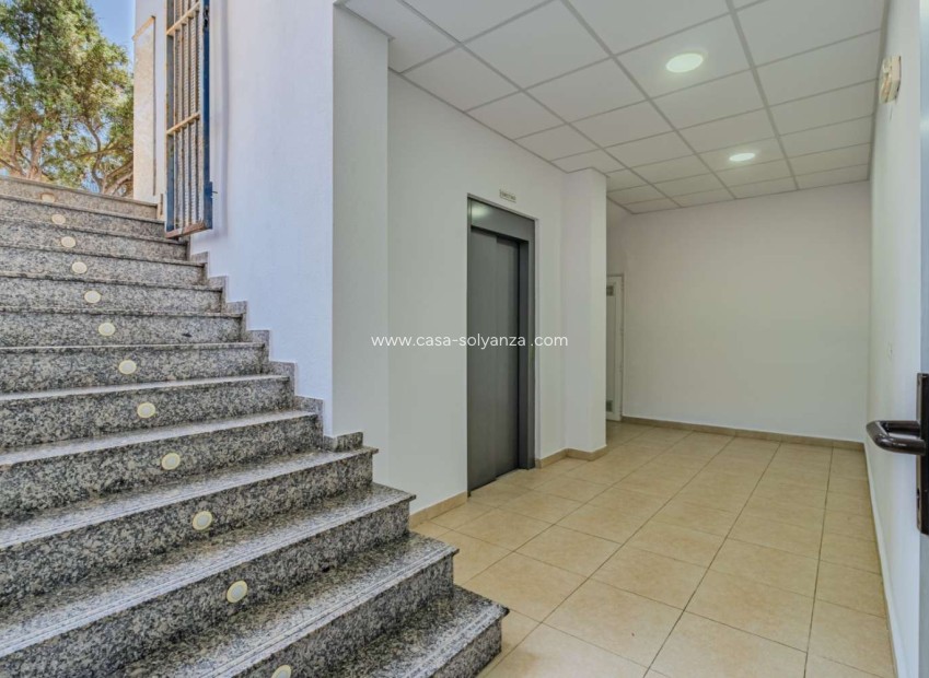 Reventa - Comercial - Torrevieja - Costa Blanca