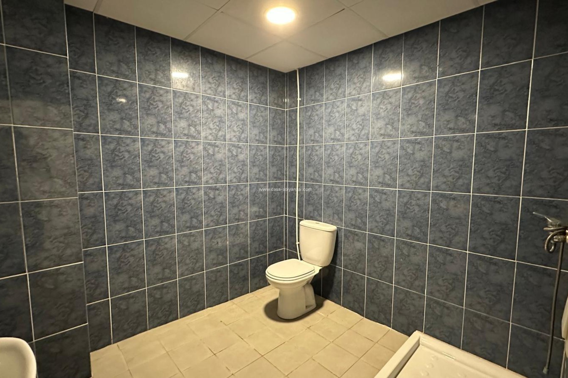 Reventa - Comercial - Torrevieja - Paseo Maritimo