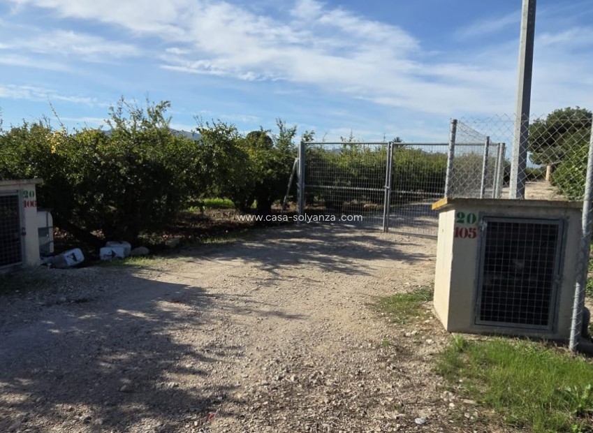 Reventa - Country Property/Finca - Albatera - Inland