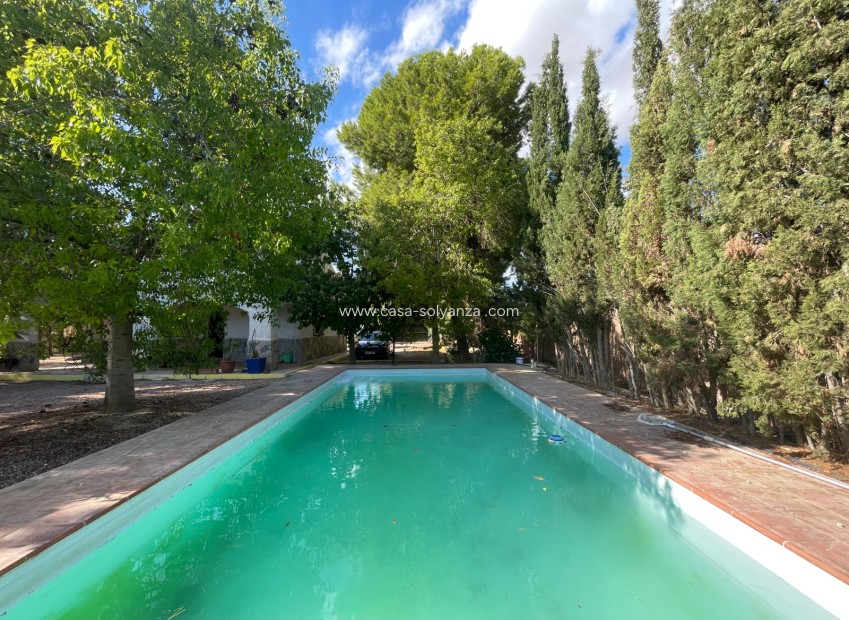 Reventa - Country Property/Finca - Albatera - Inland