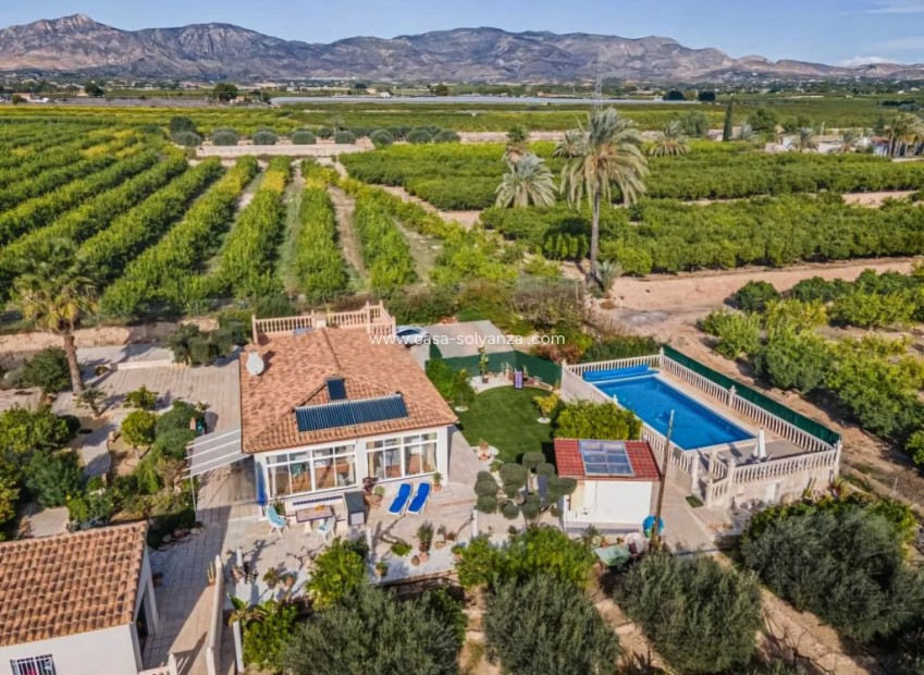 Reventa - Country Property/Finca - Albatera - Inland