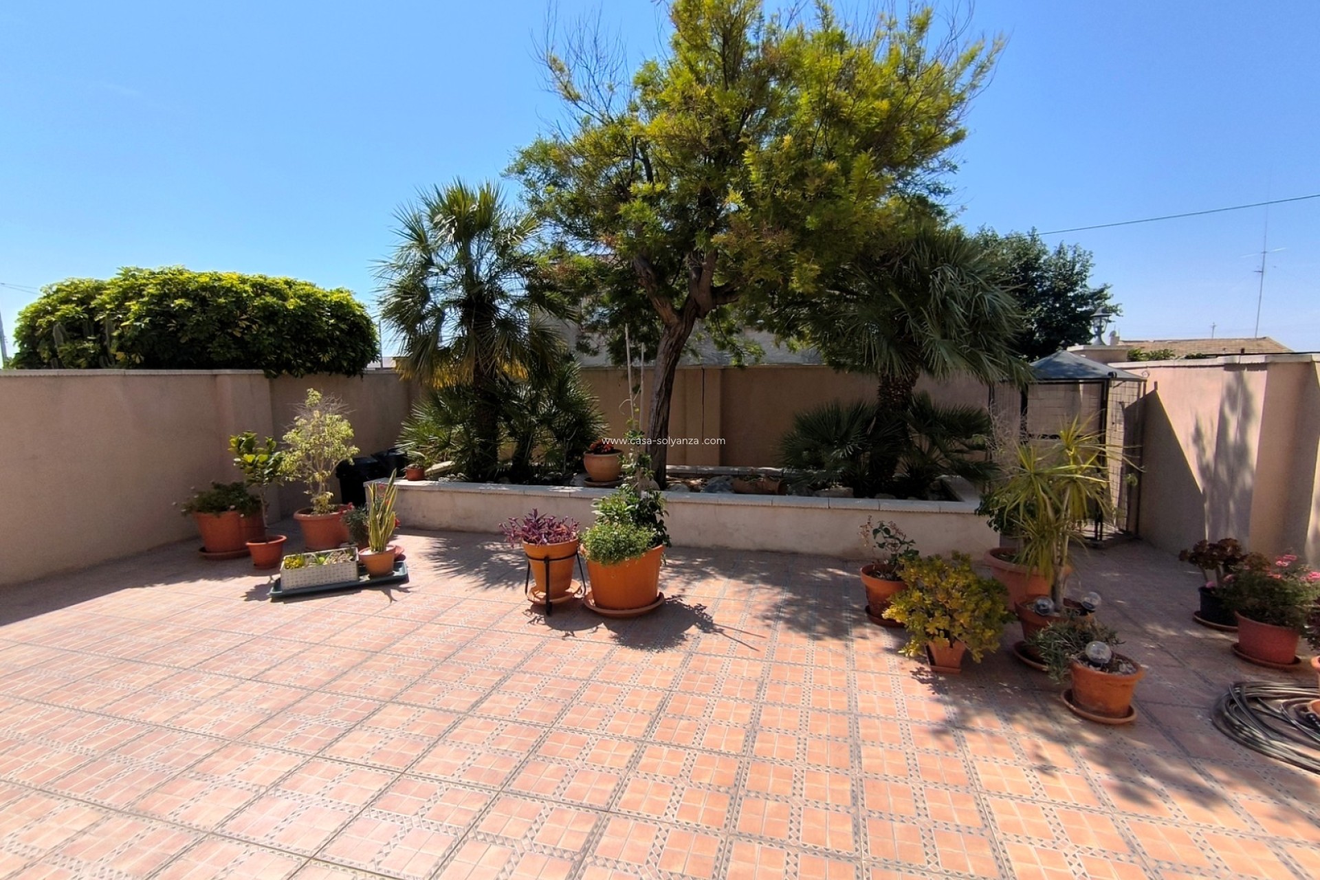 Reventa - Country Property/Finca - Albatera