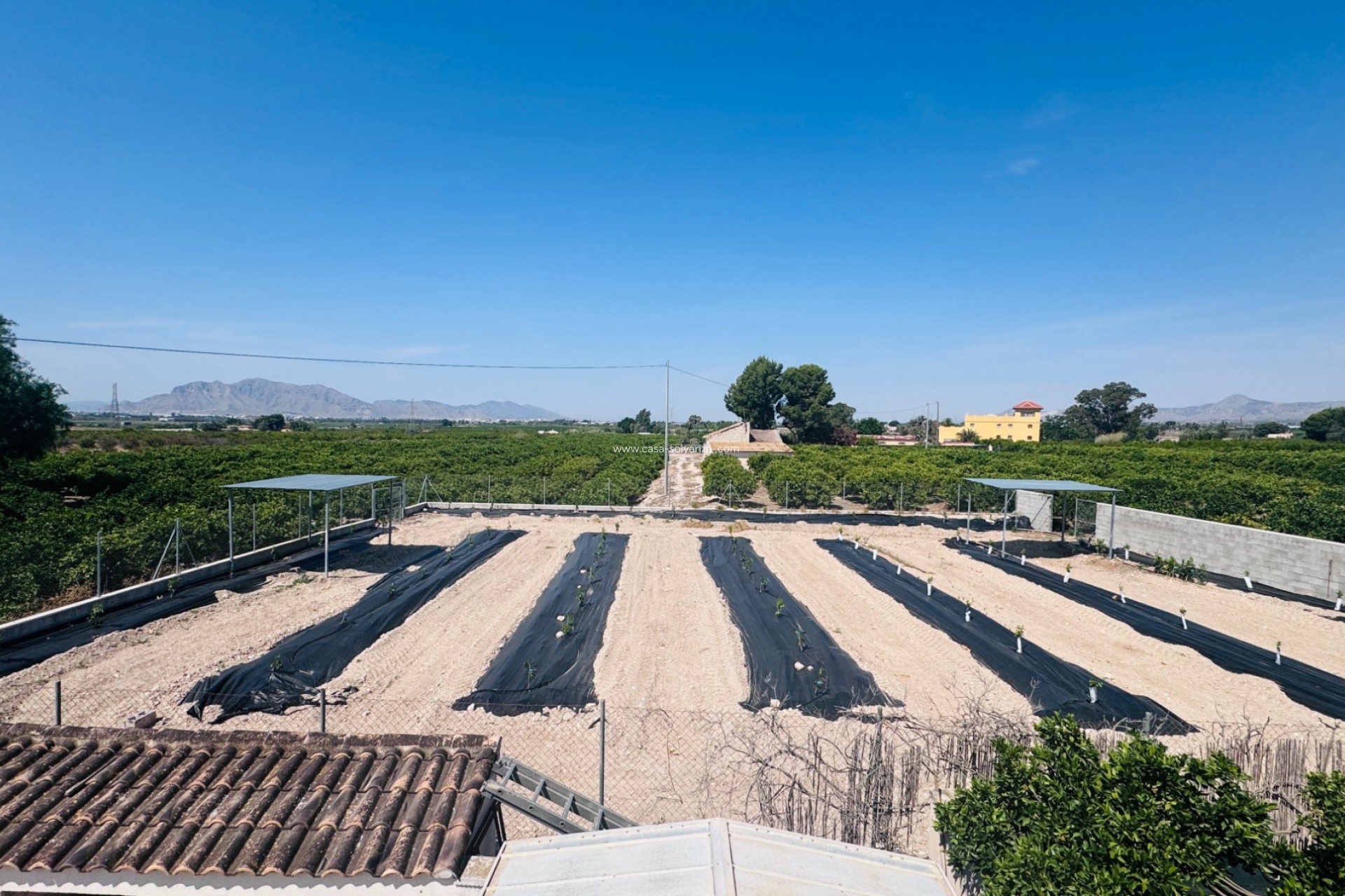 Reventa - Country Property/Finca - Albatera