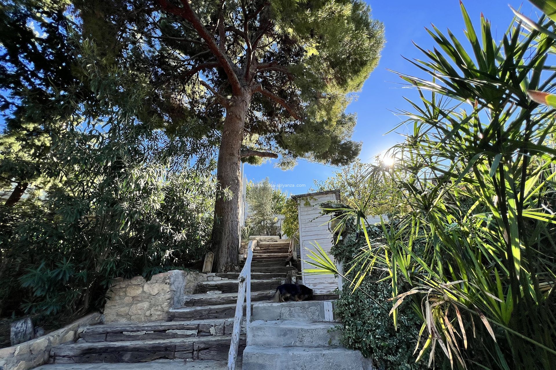 Reventa - Country Property/Finca - Altea - Costa Blanca
