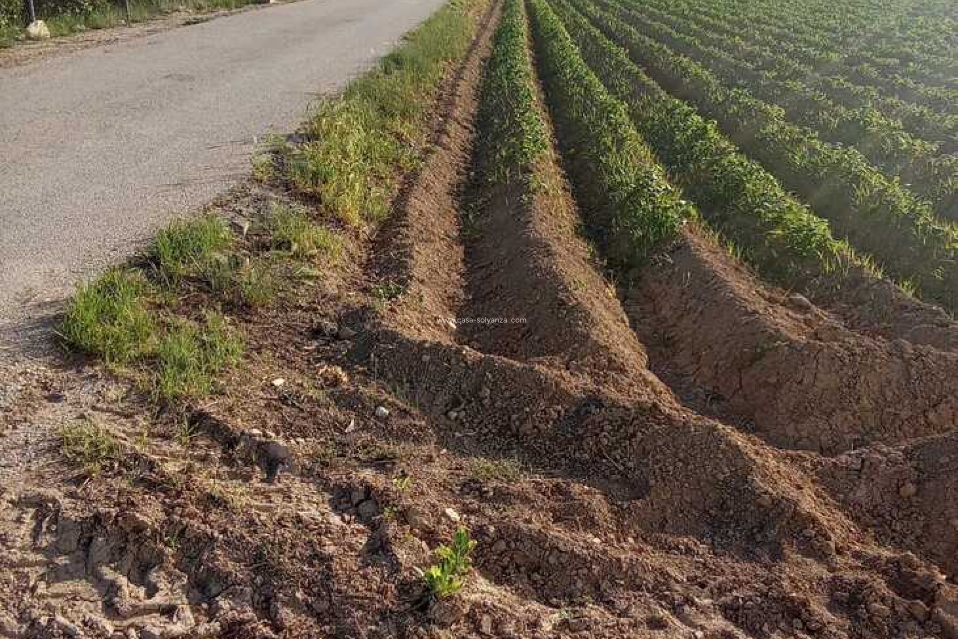 Reventa - Country Property/Finca - Arneva - LOS DESAMPARADOS