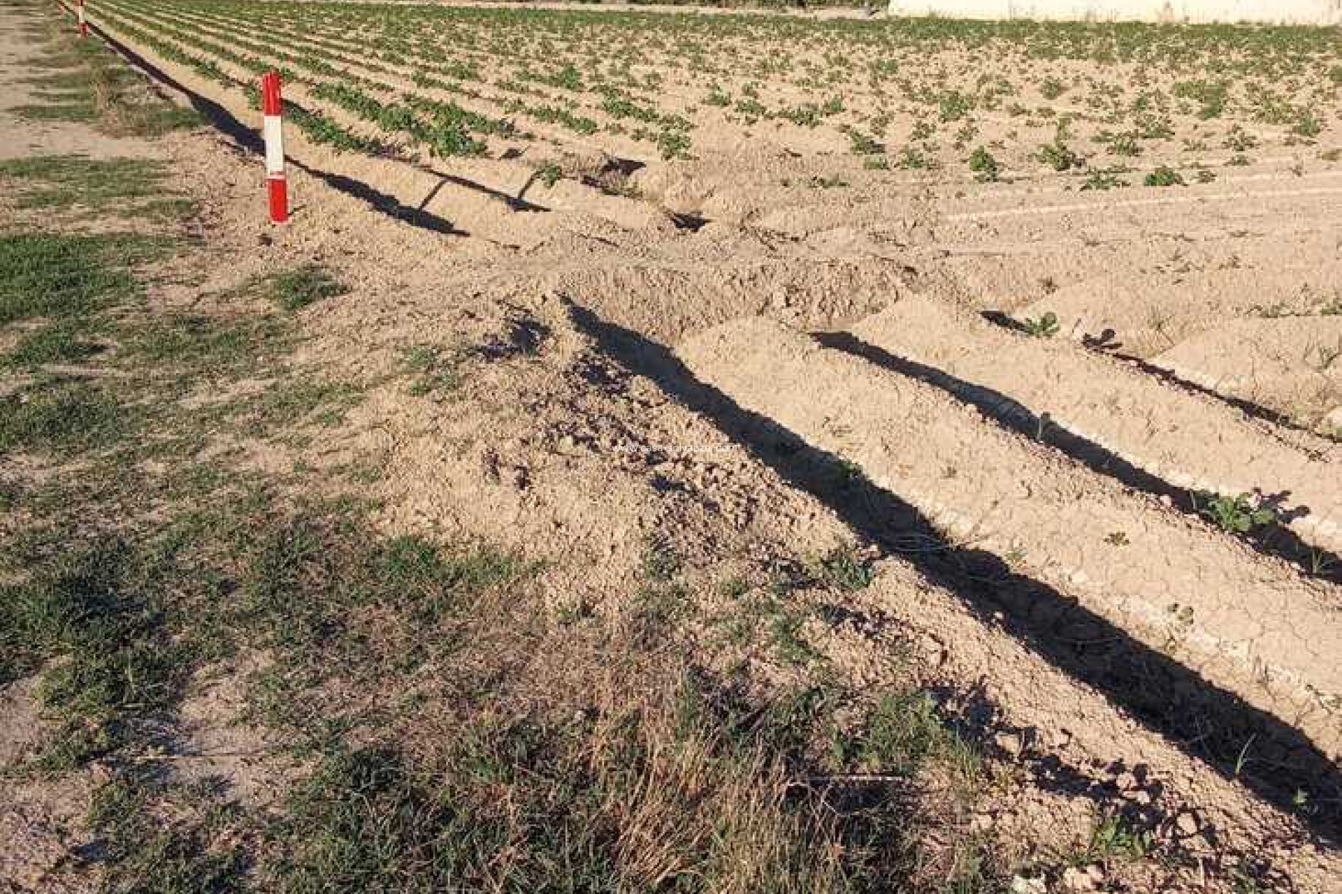 Reventa - Country Property/Finca - Arneva - LOS DESAMPARADOS