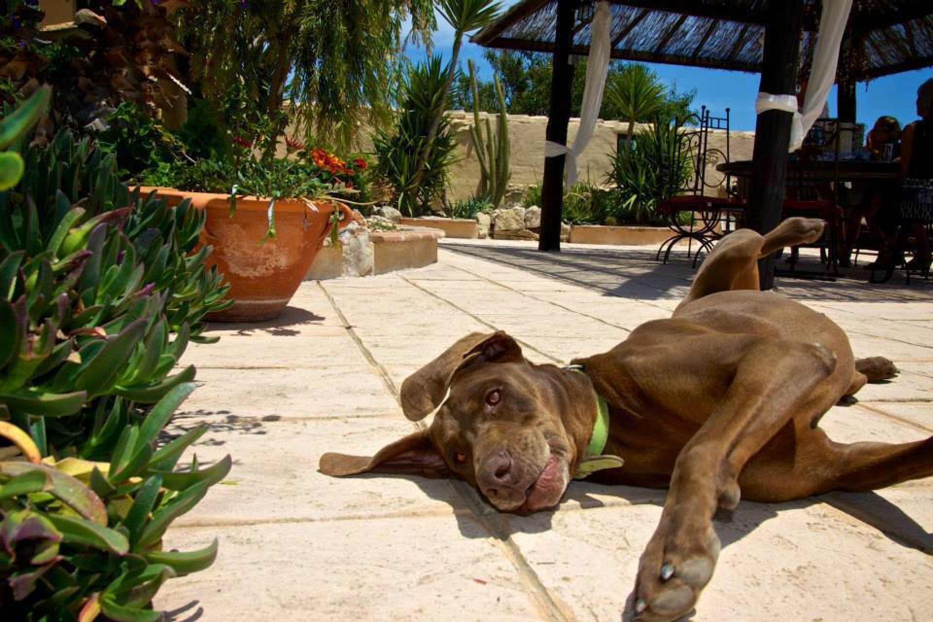 Reventa - Country Property/Finca - Benisa - Costa Blanca