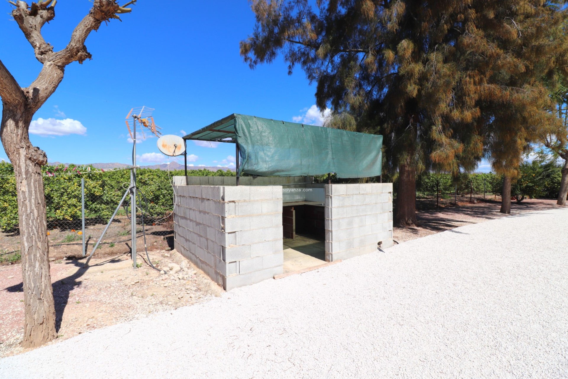 Reventa - Country Property/Finca - Callosa de Segura - Callosa de Segura - Country