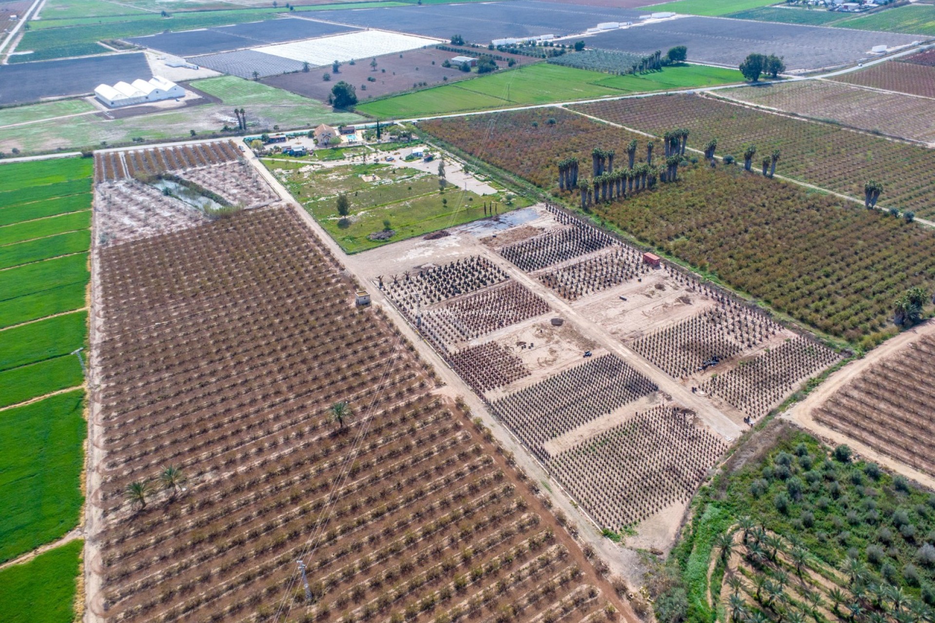 Reventa - Country Property/Finca - Crevillente - Crevillent