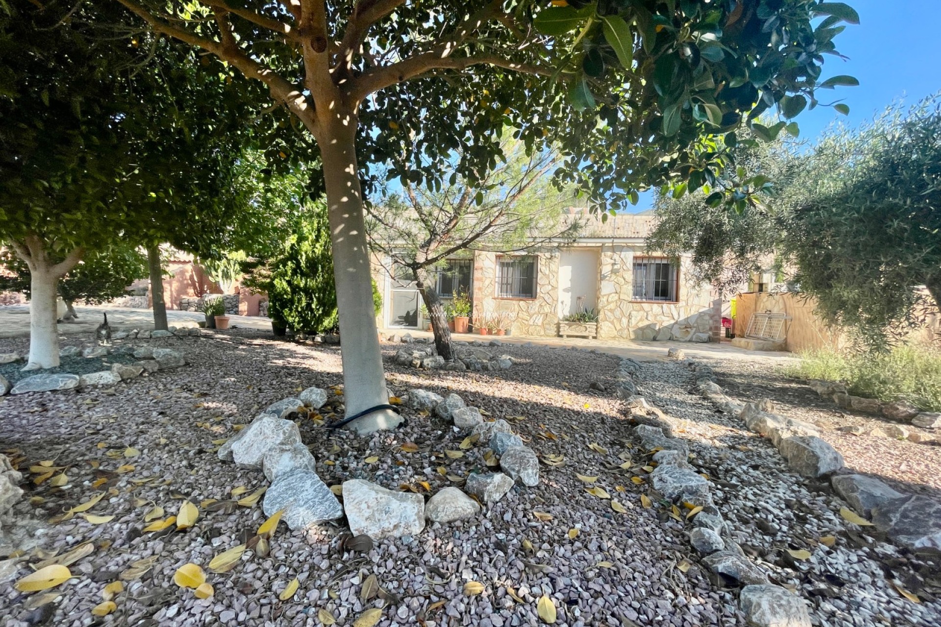 Reventa - Country Property/Finca - Crevillente - Inland
