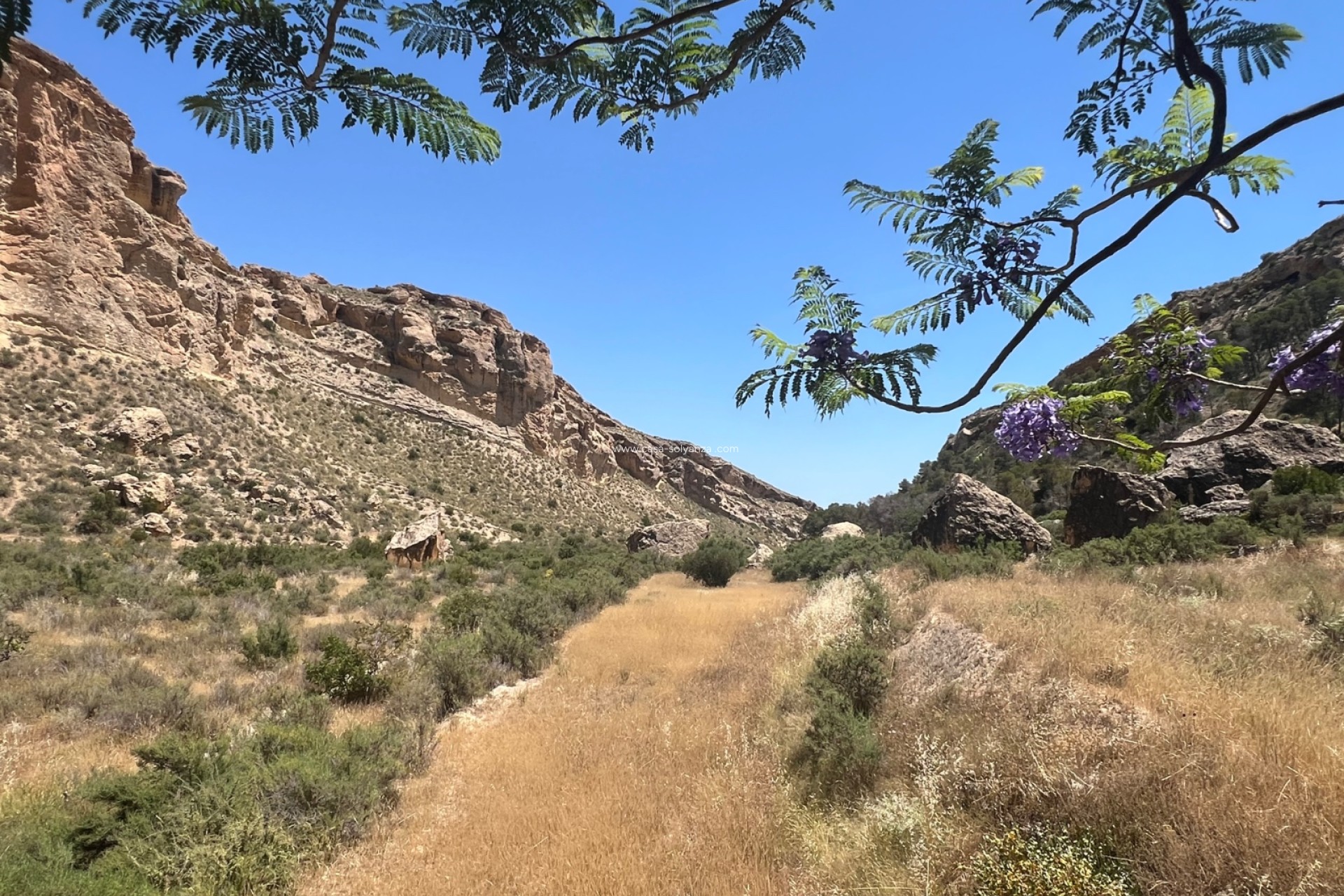Reventa - Country Property/Finca - Crevillente - Inland