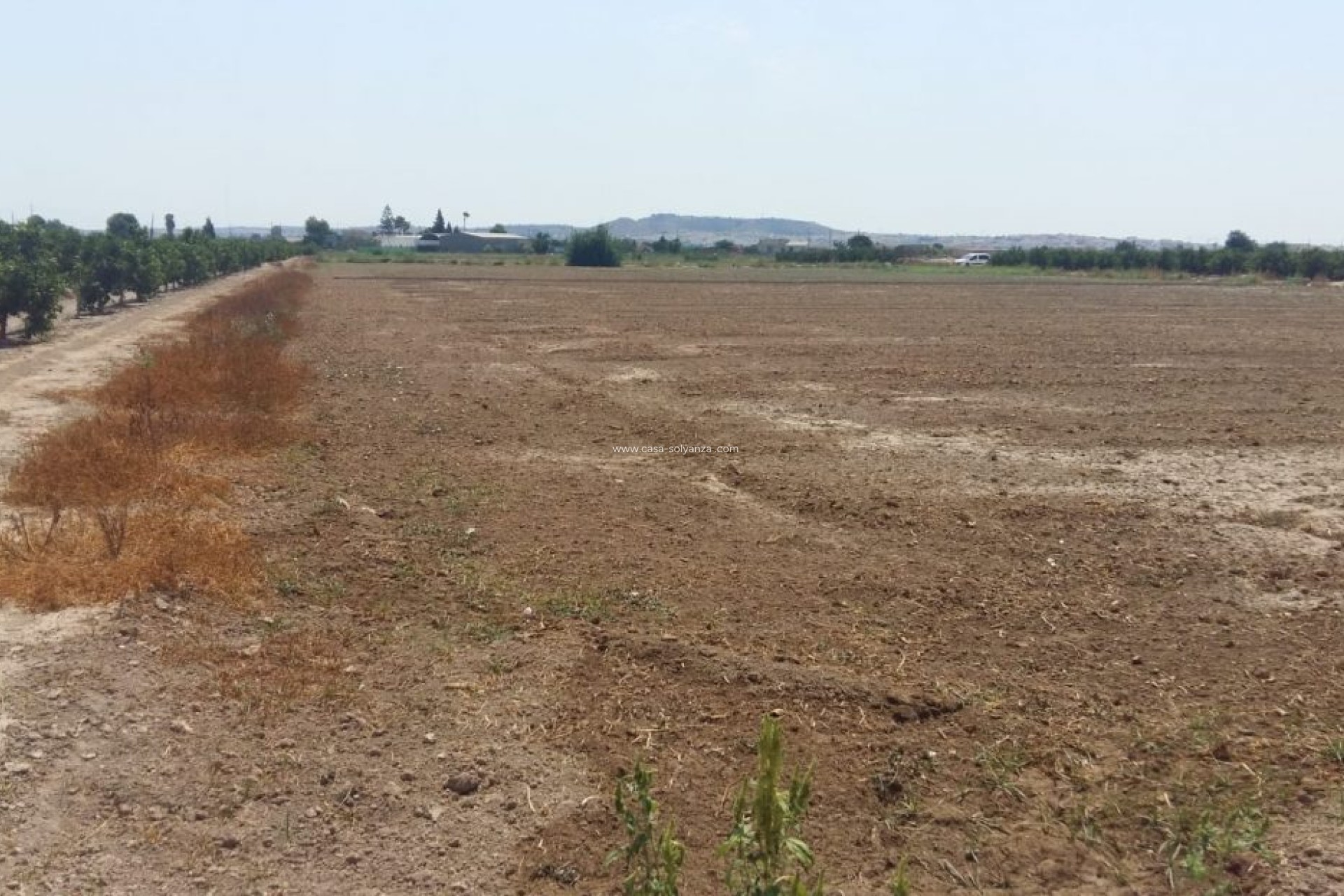 Reventa - Country Property/Finca - Daya Nueva - Costa Blanca