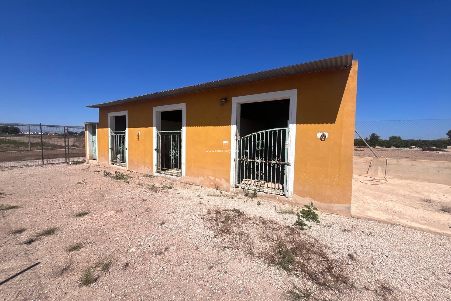 Reventa - Country Property/Finca - Daya Nueva - La Bodega