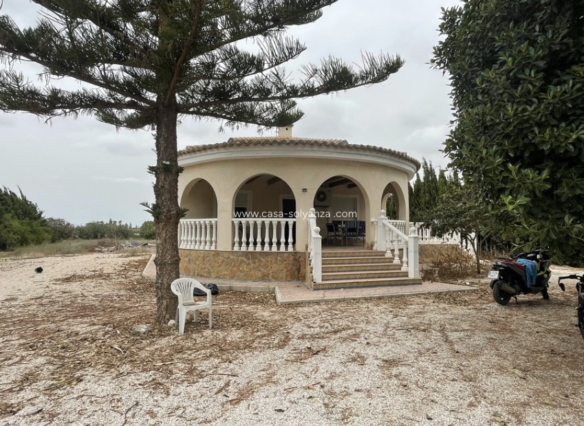 Reventa - Country Property/Finca - Daya Vieja - 0