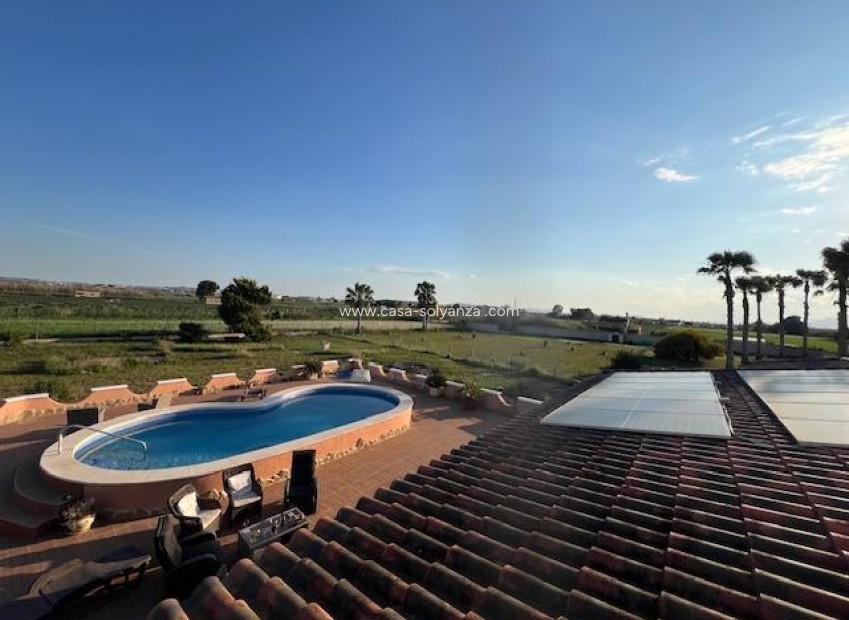 Reventa - Country Property/Finca - Dolores - Comunidad Valenciana