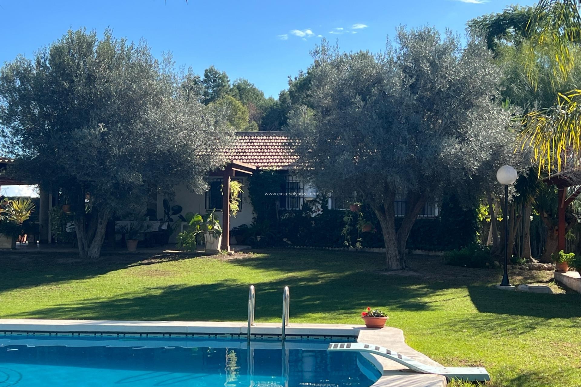 Reventa - Country Property/Finca - Dolores - Comunidad Valenciana
