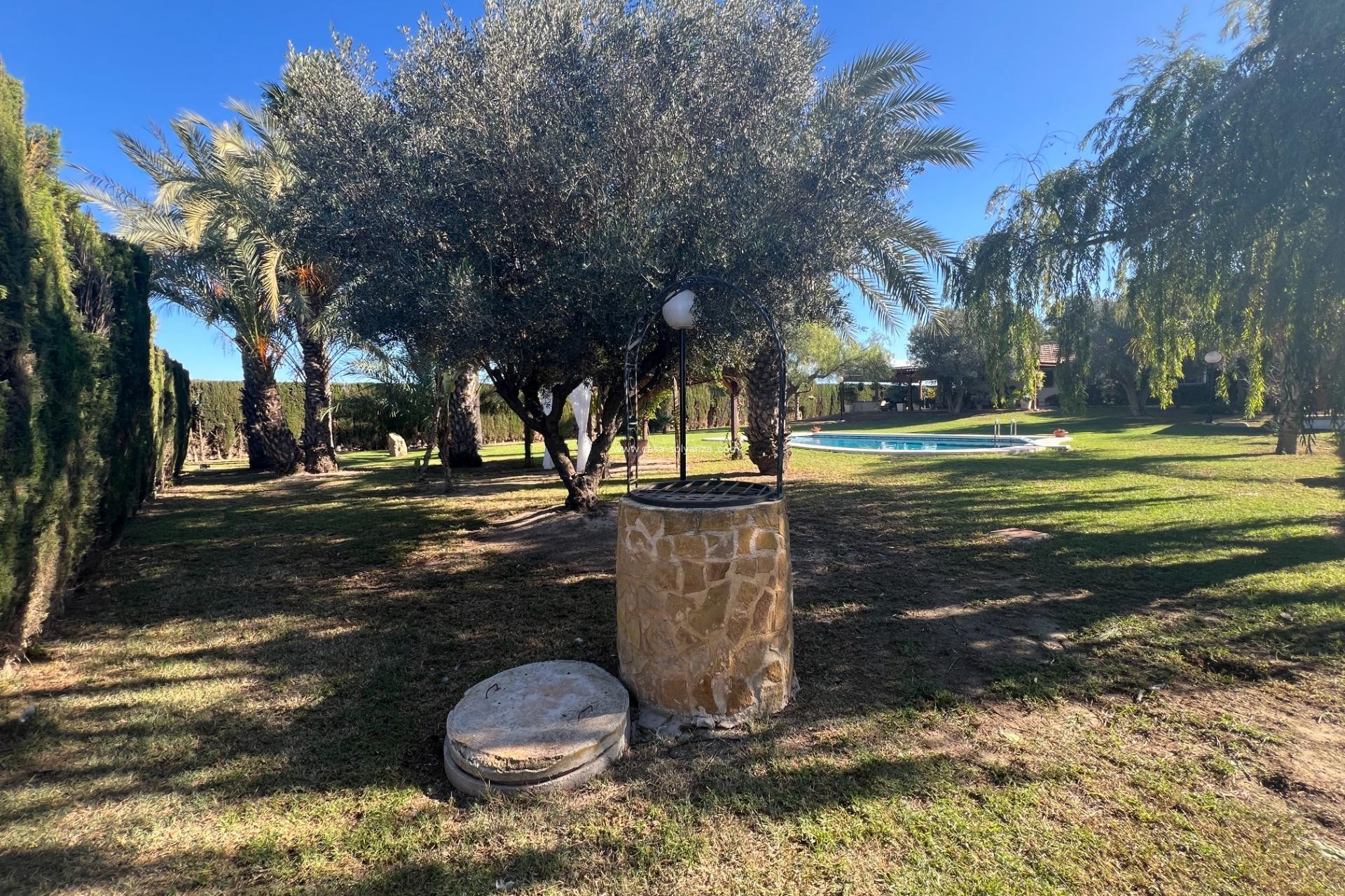 Reventa - Country Property/Finca - Dolores - Comunidad Valenciana