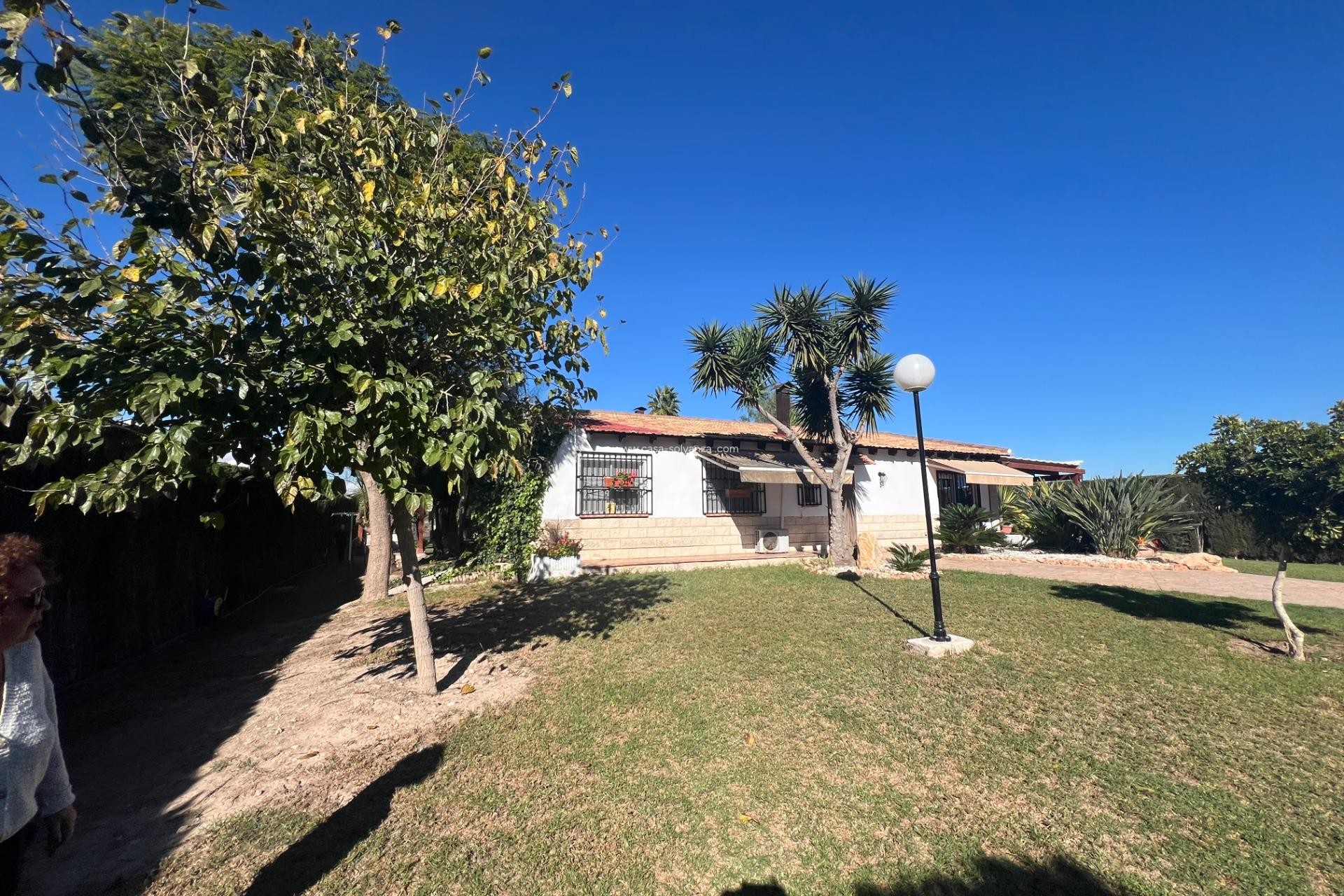 Reventa - Country Property/Finca - Dolores - Comunidad Valenciana