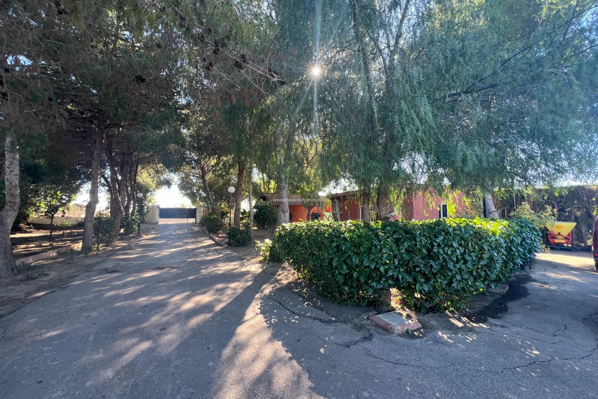 Reventa - Country Property/Finca - Dolores - Comunidad Valenciana