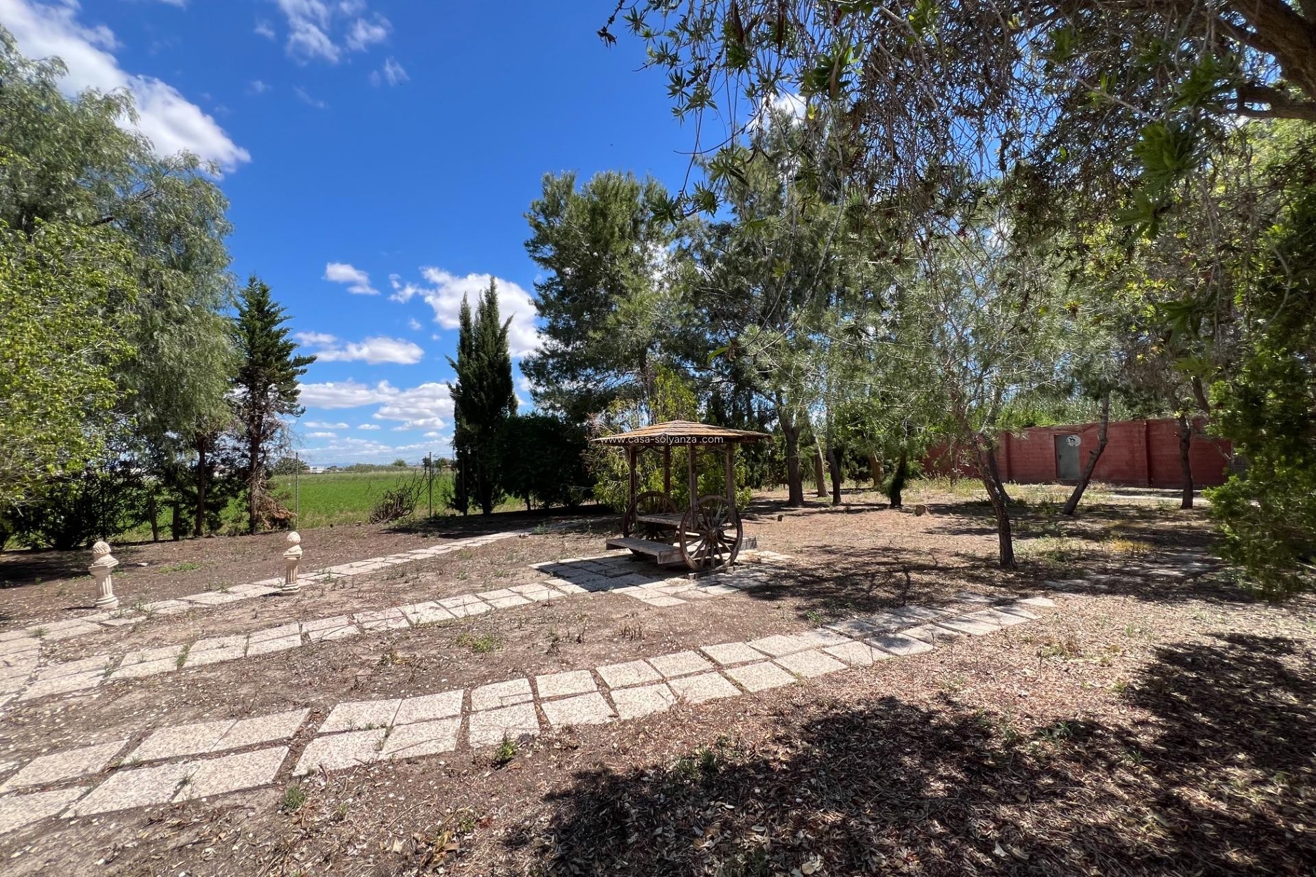 Reventa - Country Property/Finca - Dolores - Comunidad Valenciana