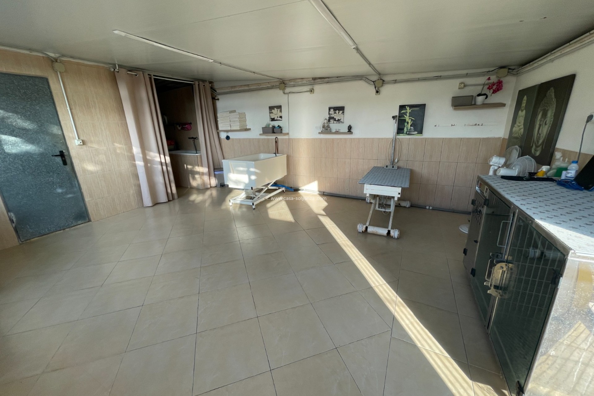 Reventa - Country Property/Finca - Elche - Costa Blanca