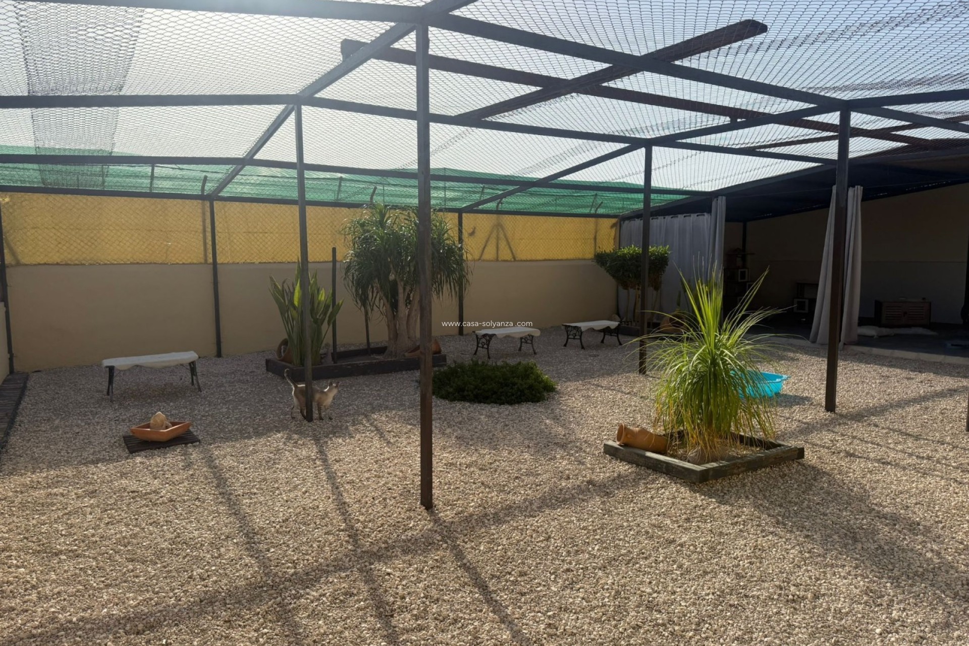 Reventa - Country Property/Finca - Elche - Costa Blanca