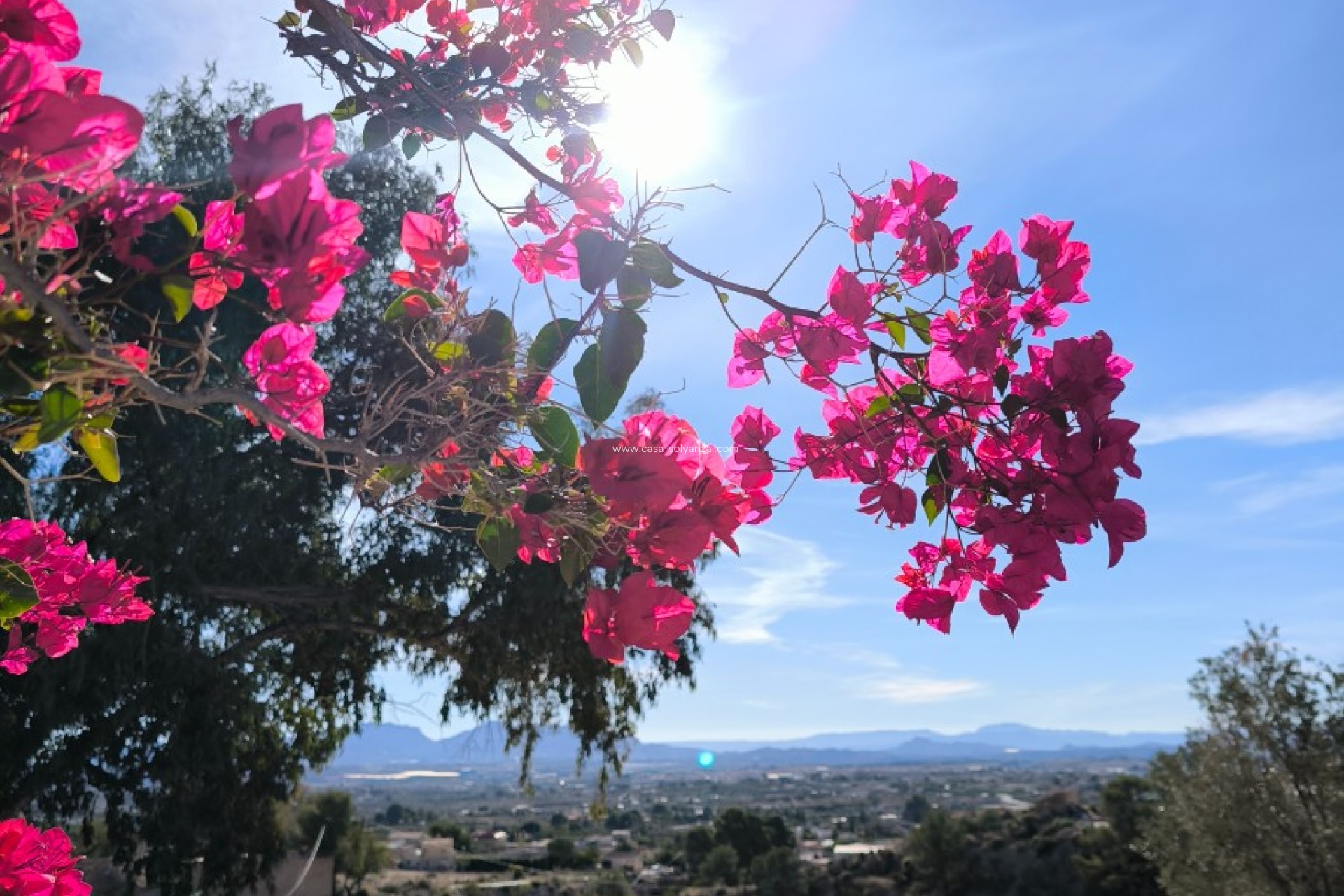 Reventa - Country Property/Finca - Fortuna - Inland