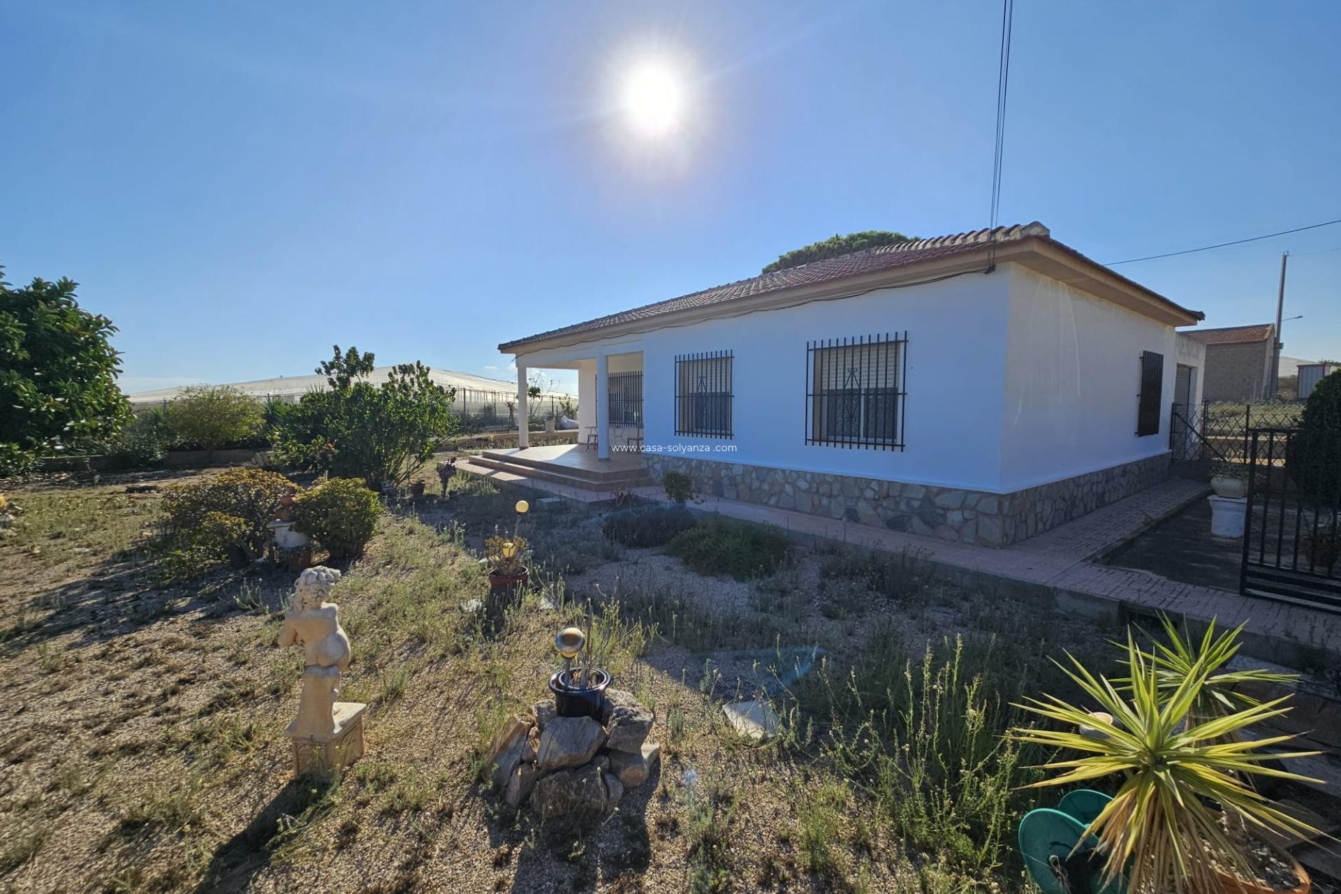 Reventa - Country Property/Finca - Guardamar del Segura - Buenavista