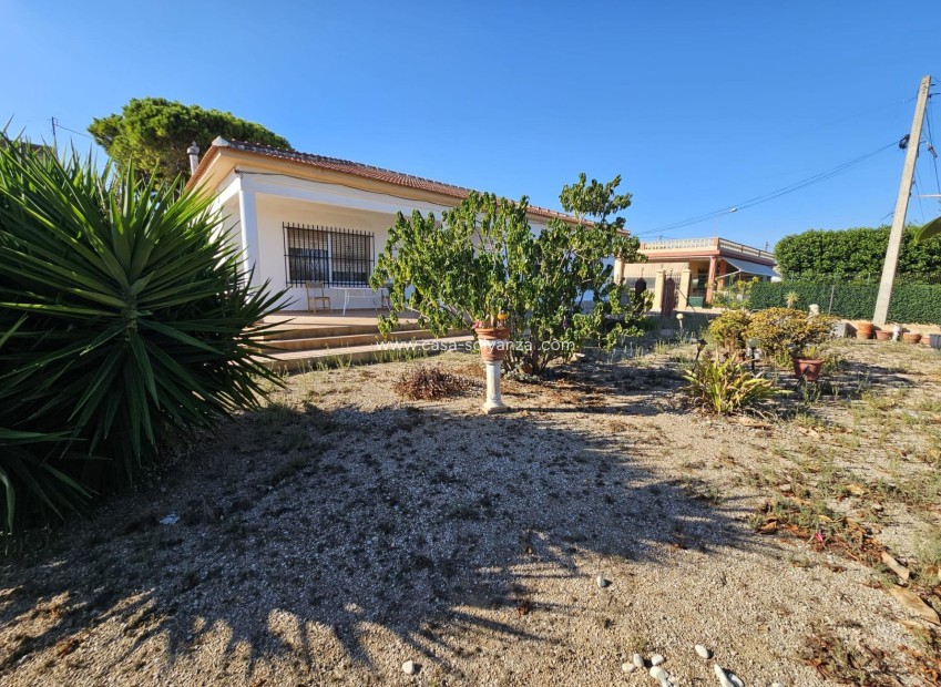 Reventa - Country Property/Finca - Guardamar del Segura - Buenavista