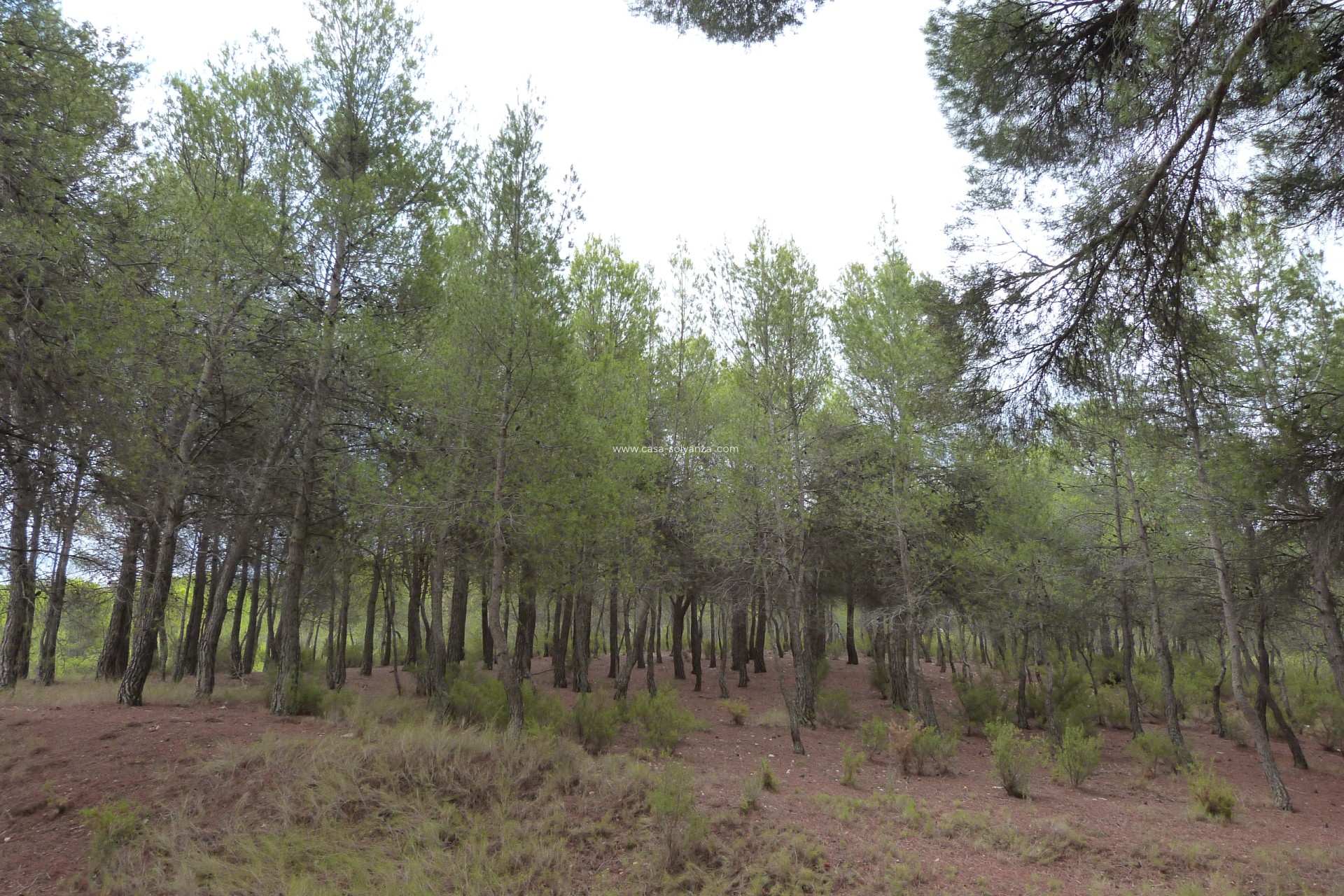 Reventa - Country Property/Finca - Ibi - Ibi - Country