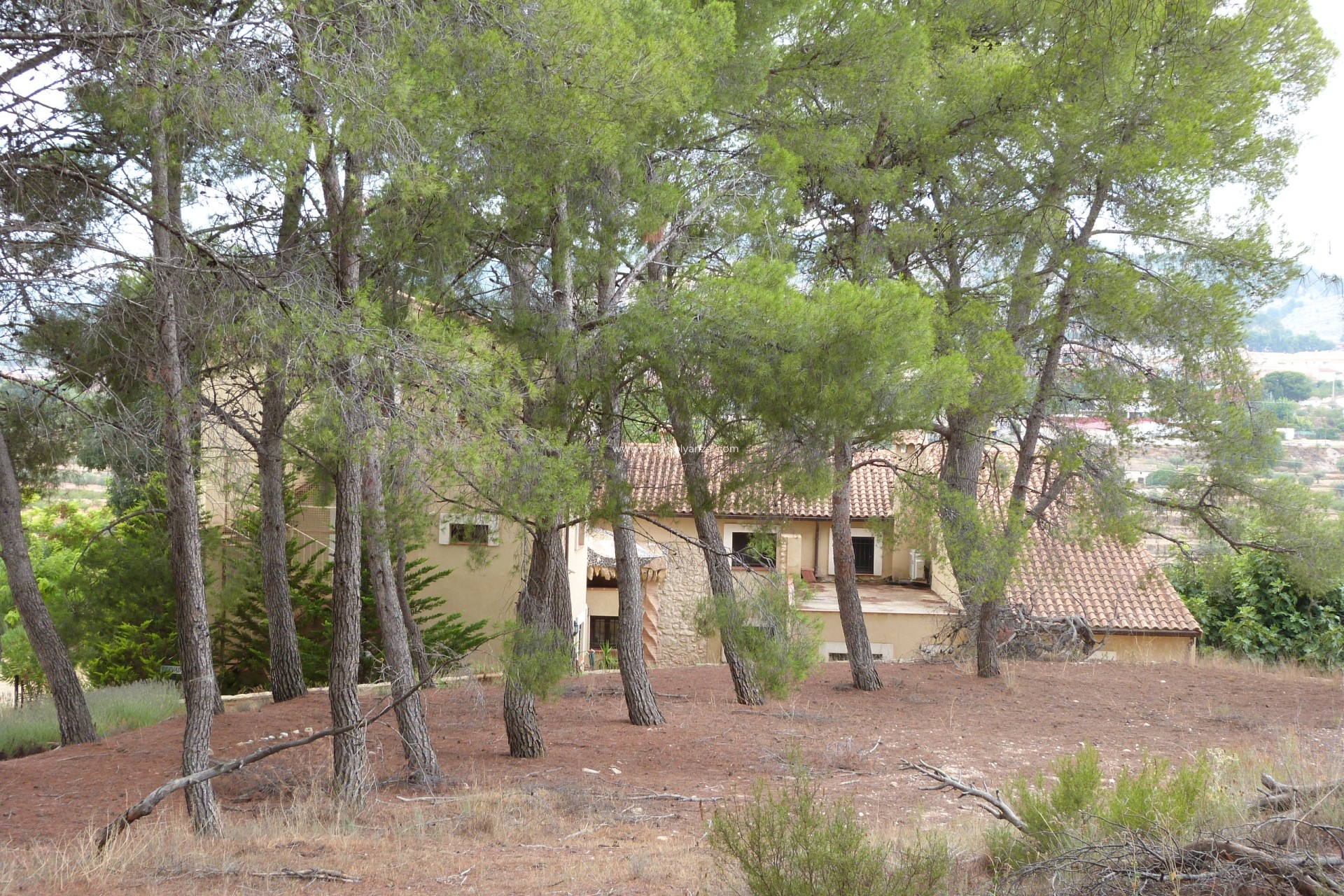 Reventa - Country Property/Finca - Ibi - Ibi - Country