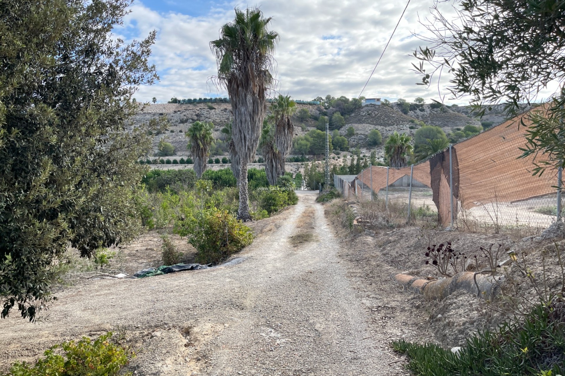 Reventa - Country Property/Finca - Jacarilla - Inland