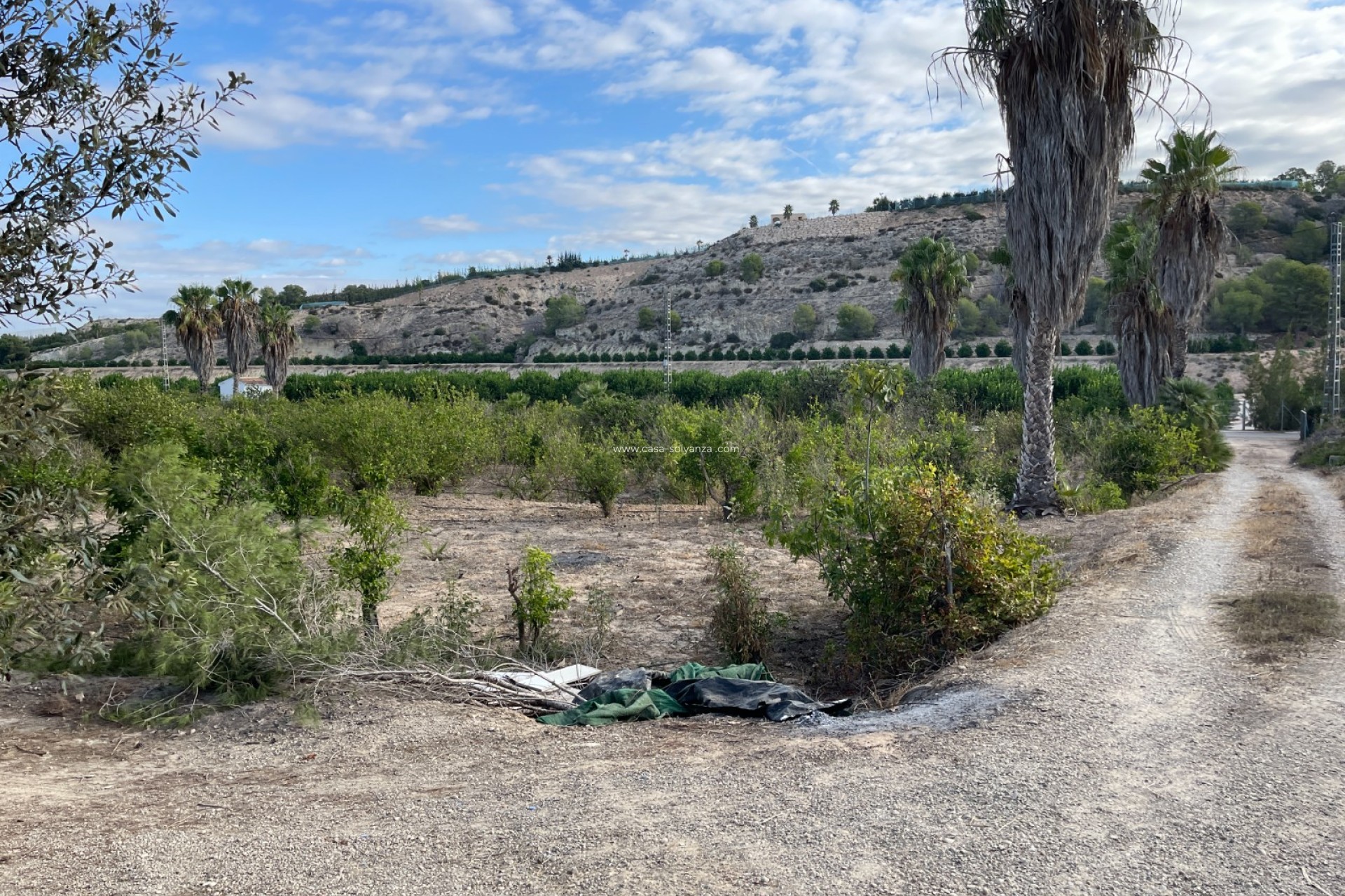 Reventa - Country Property/Finca - Jacarilla - Inland