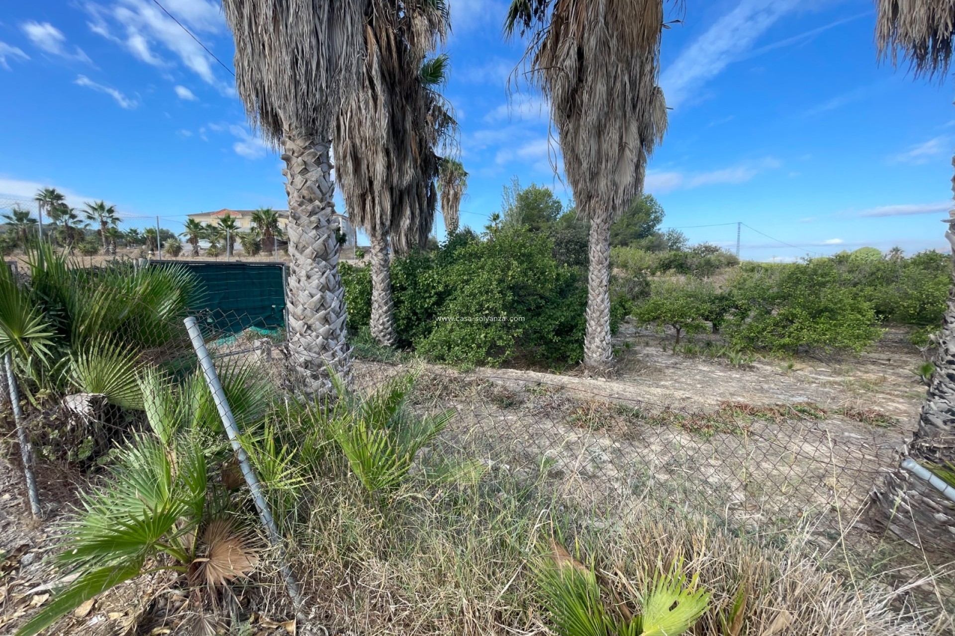 Reventa - Country Property/Finca - Jacarilla - Inland