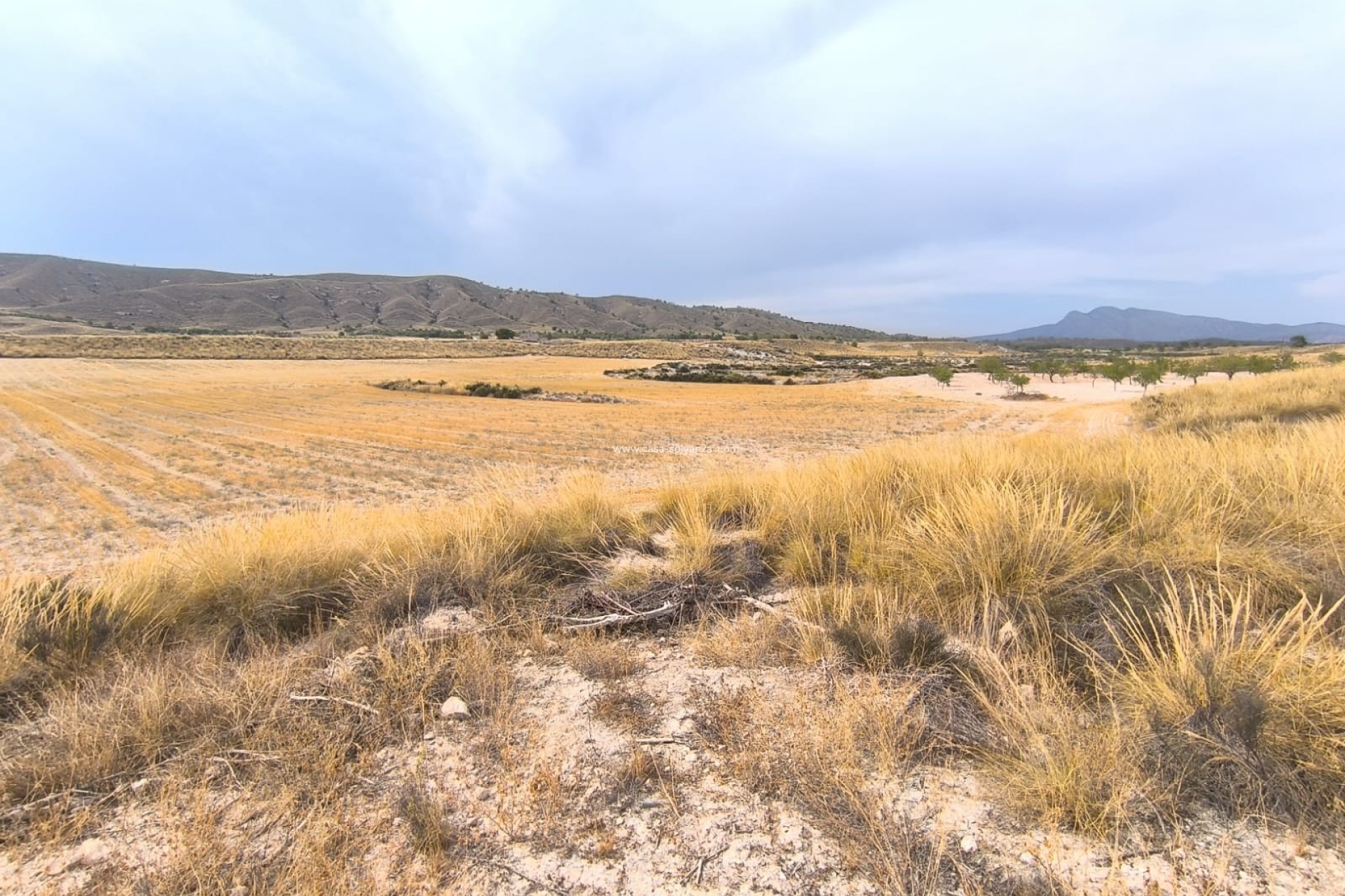 Reventa - Country Property/Finca - Jumilla - Inland