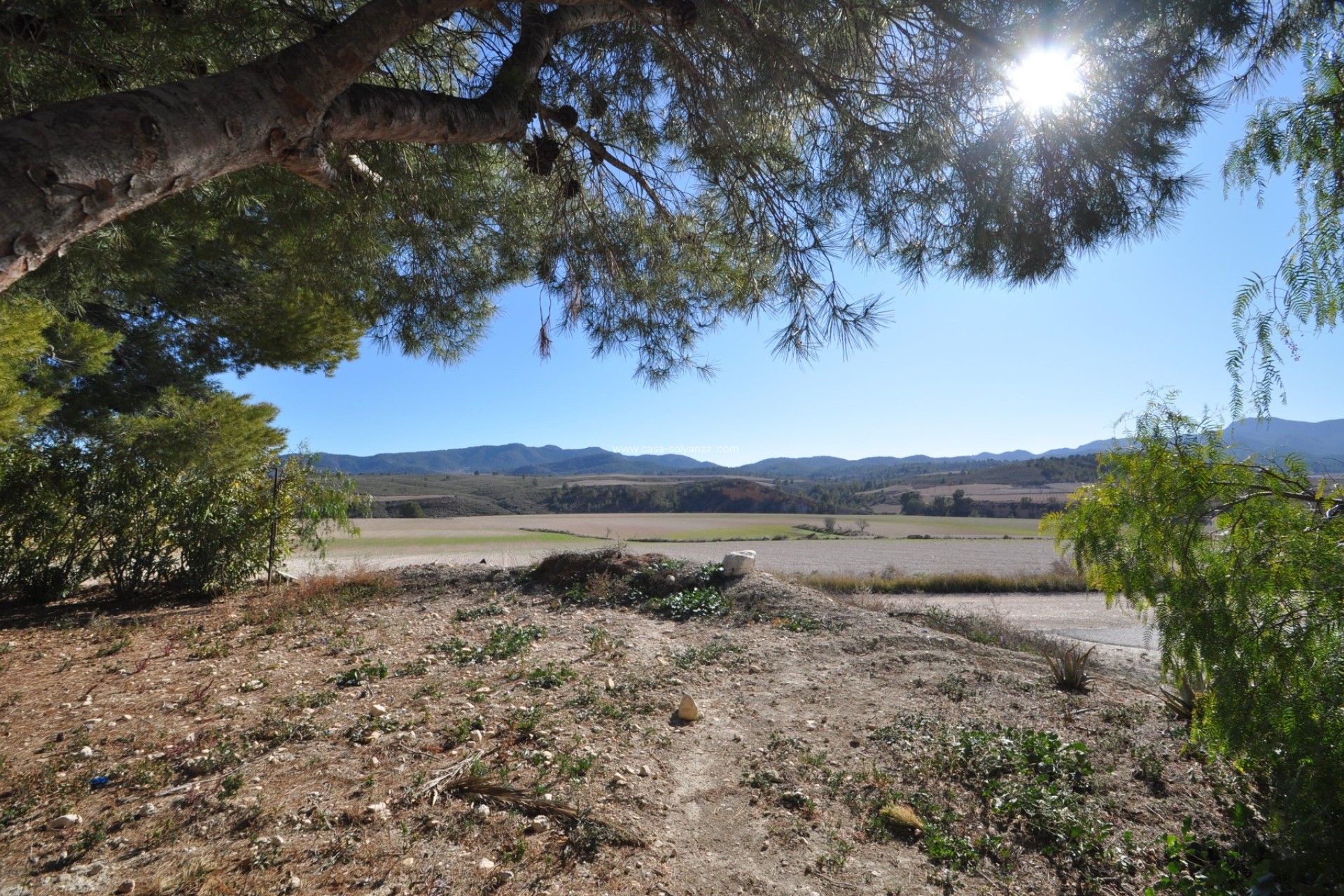 Reventa - Country Property/Finca - Jumilla - Inland