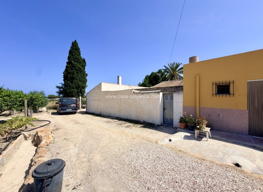 Reventa - Country Property/Finca - La Marina - Costa Blanca
