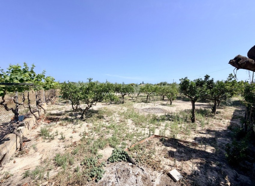 Reventa - Country Property/Finca - La Marina - Costa Blanca