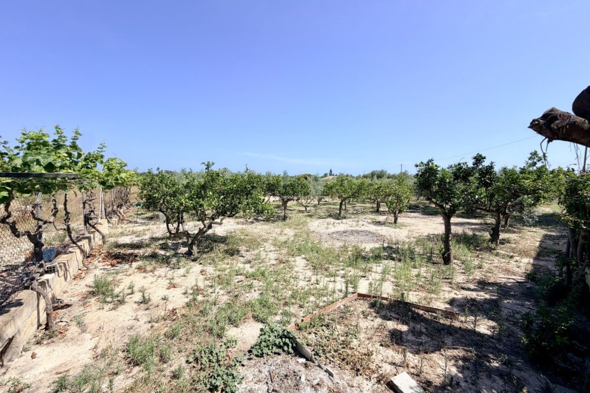 Reventa - Country Property/Finca - La Marina - Costa Blanca
