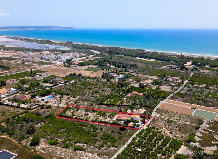 Reventa - Country Property/Finca - La Marina - Costa Blanca
