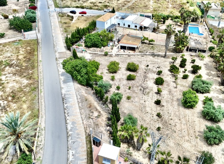 Reventa - Country Property/Finca - Los Montesinos - Costa Blanca