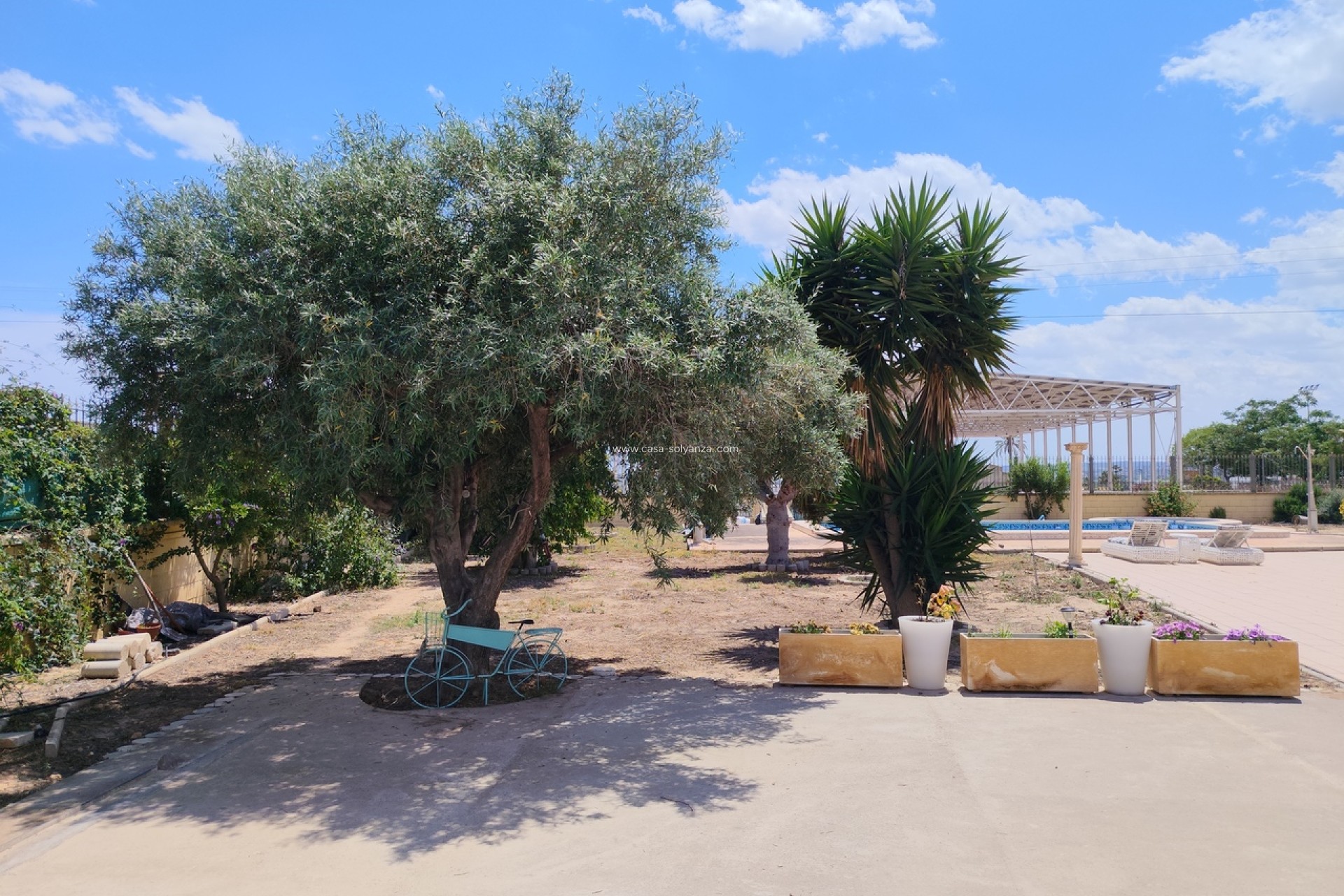 Reventa - Country Property/Finca - Los Montesinos - Costa Blanca